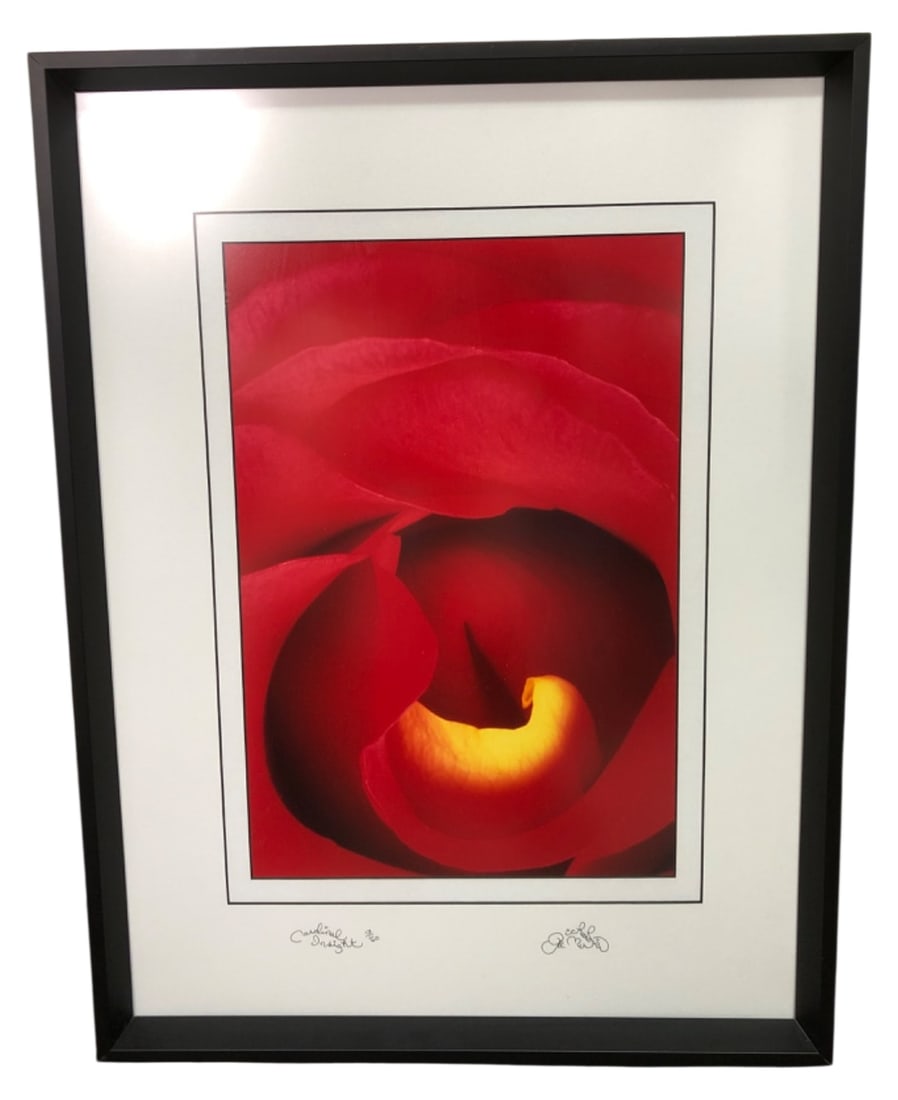 Richard LaMartina Ltd Ed Rose Photograph: Framed limited edition photograph of a red rose titled "Cardinal Insight" by Richard LaMartina (American, 1952-2011). Printed using Fujichrome/Cibachrome processes. Pencil signed, titled, and numbered