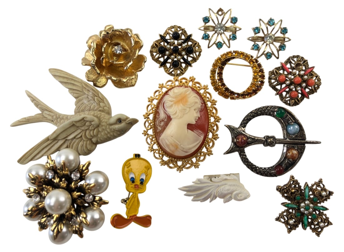 VTG Costume Jewelry Brooch Lot Cameo Bird Tweety: Collection of 14 vintage costume jewelry brooches. Includes a large carved-style bird, classic resin cameo in ornate gold-tone frame, enamel Tweety Bird, faux pearl cluster, rhinestone starbursts, and