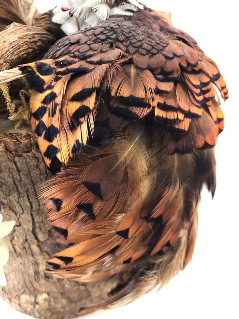 Handmade Rustic Game Bird & Feather Display - 11