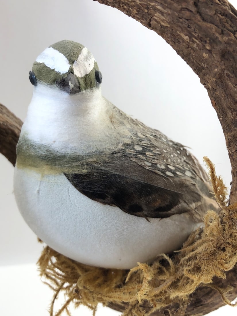 Handmade Rustic Game Bird & Feather Display - 2