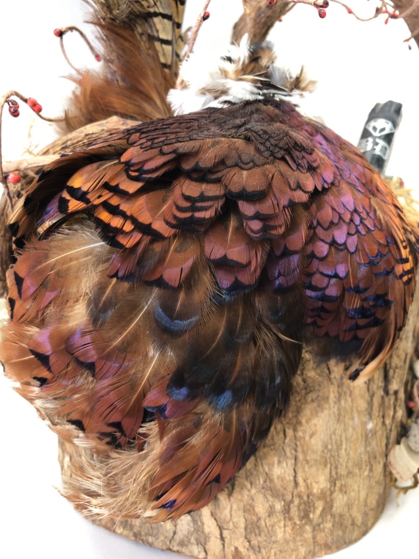 Handmade Rustic Game Bird & Feather Display - 5