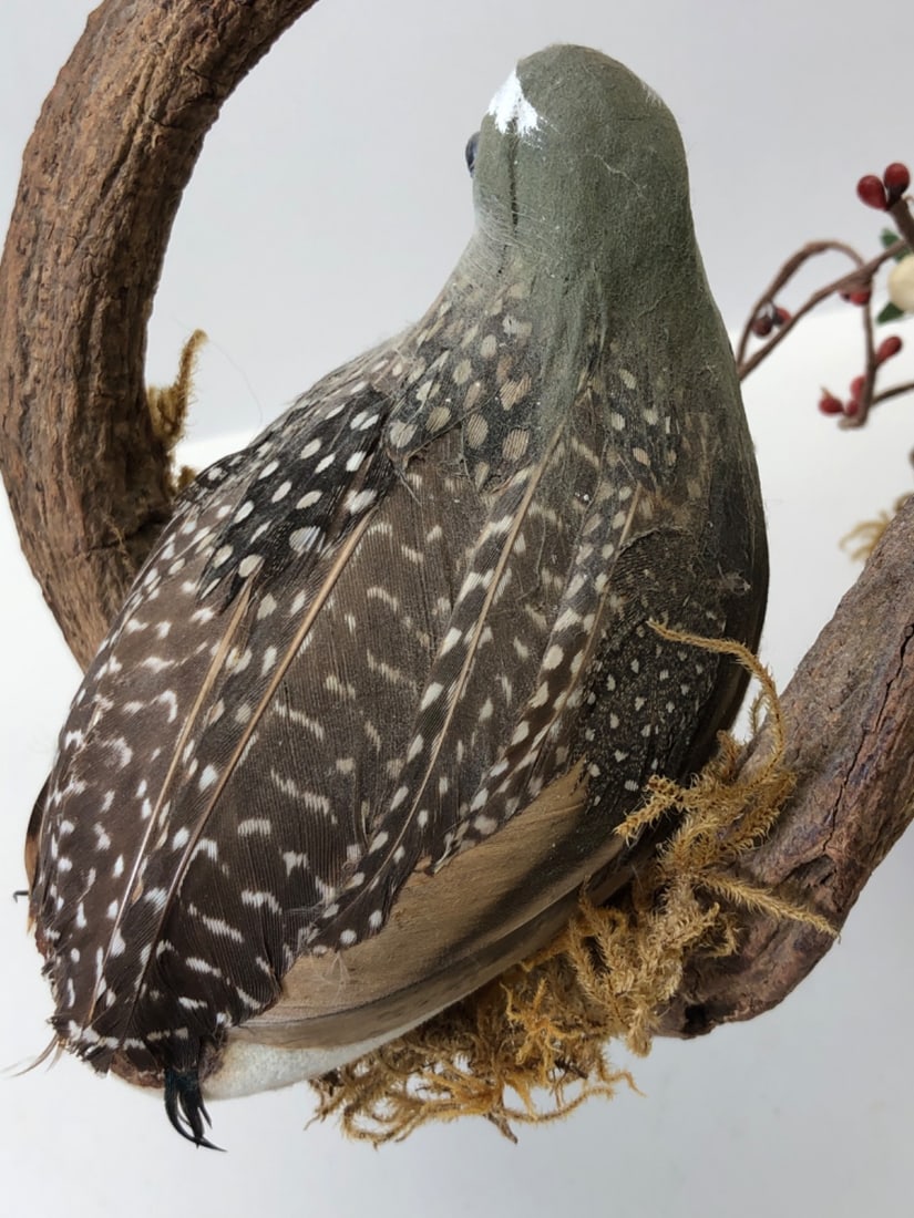 Handmade Rustic Game Bird & Feather Display - 8