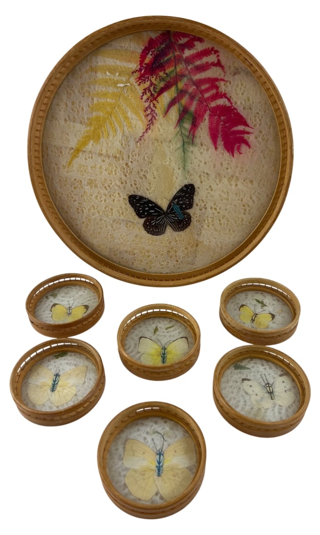 Woven Bamboo Real Butterfly Tray & Coasters: 7-piece set featuring a large serving tray and six matching coasters. Constructed with woven bamboo frames and backing. The centers display real pressed butterfly specimens and dried botanical ferns s