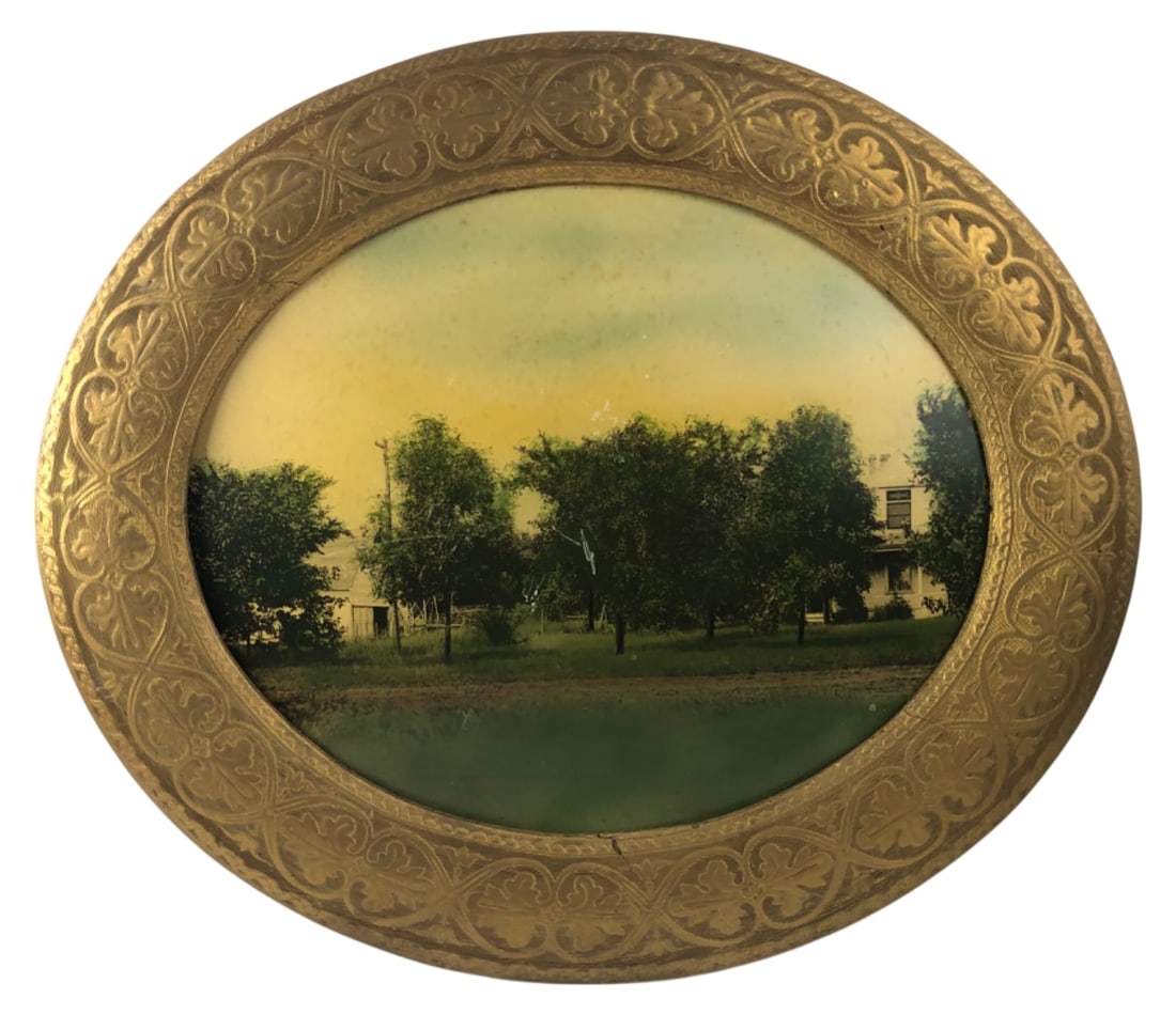 Framed Tinted Photo Lloyd Long Farm Luverne MN: Oval framed tinted photograph or print depicting a farm landscape. Housed in an ornate foliate patterned frame with wood backing. A handwritten note on the reverse identifies the subject as "Lloyd Lon