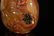An agate snuff bottle - 5