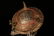 A bronze inlaying and silver senser - 9