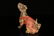 A bronze 'lion'ornament - 3