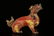 A bronze 'lion'ornament - 9