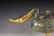 A cloisonne and gilt bronze 'duck' censer - 2