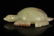 A white jade 'beast' ornament