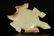A white jade 'beast' ornament - 5