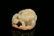 A Finely Carved Celadon Jade 'Kylin' Ornamen - 3