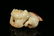 A Finely Carved Celadon Jade 'Kylin' Ornamen - 4