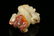 A Finely Carved Celadon Jade 'Kylin' Ornamen - 6