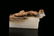 A Finely Carved White Jade 'Beast ' Decoration - 4