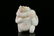 An Exceptional White Jade 'Character' Ornament - 4