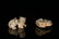 Two Top and Fine White Jade Ornaments