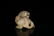 Two Top and Fine White Jade Ornaments - 4