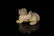 Two Top and Fine White Jade Ornaments - 5