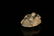 Two Top and Fine White Jade Ornaments - 9
