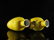 A Fine pair of Famille-rose 'Flower and Bird' Vases - 7