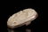 A Delicate White Jade Silver-inlaid Belt Hook - 6