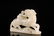 A Rare White Jade 'Horse and Monkey' Ornament - 3