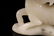 A Rare White Jade 'Horse and Monkey' Ornament - 7