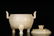 A sancai and yellow-glazed ewer - 4
