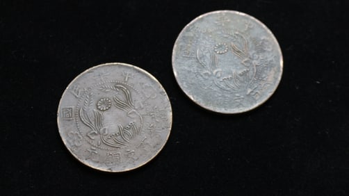 Double-flag coin 200 coins