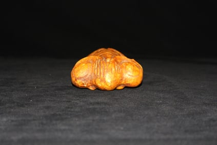Jade cicada