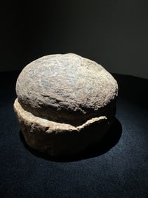 Dinosaur egg fossil (drum-shaped)