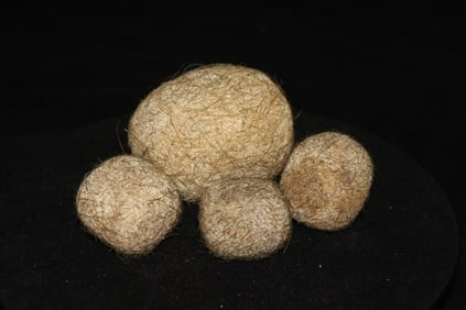 Pig treasure