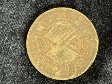 Hunan Province Double Flag Coin 20 Wen
