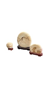 A SET OF SEA-PATTERNED ORNAMENTS
