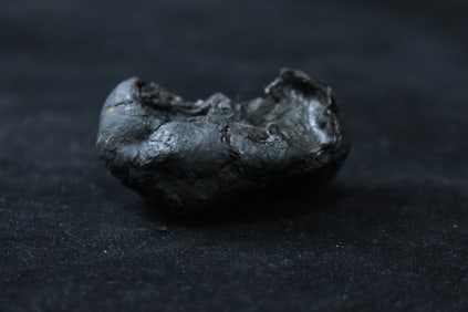 GOOSE BEZOAR ORNAMENT