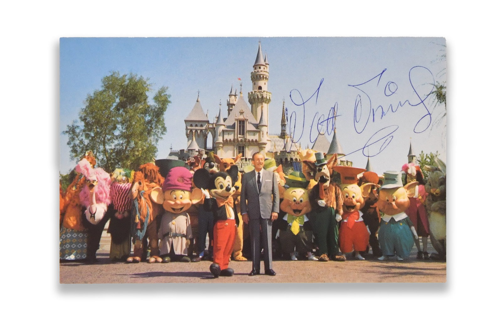 WALT DISNEY - Signed Disneyland Photographic Postcard (1 of 2)