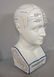 7: PORCELAIN PHRENOLOGY HEAD. Transfer labeled "Phrenol - 3