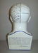 7: PORCELAIN PHRENOLOGY HEAD. Transfer labeled "Phrenol - 6