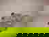 item-3540722=4