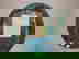item-3540724=8