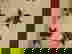 item-3541495=3