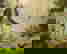 item-3541656=4
