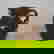 item-3541661=4