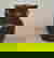 item-3541661=5