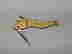 item-4520951=3