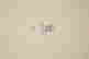 item-5056267=2