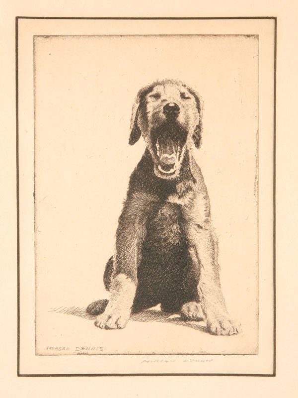 YAWNING DOG BY MORGAN DENNIS (AMERICAN, 1892-1960)