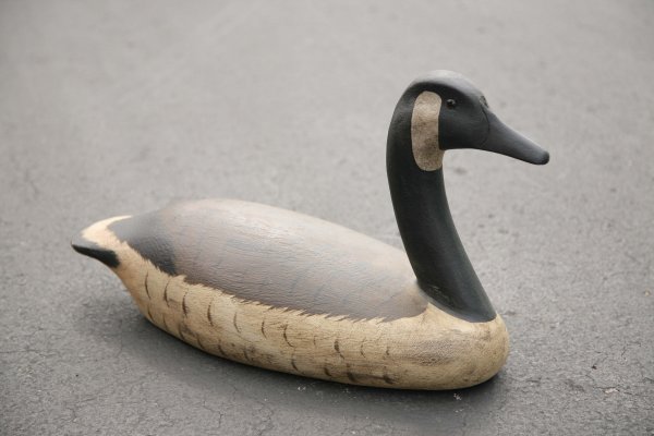 CANADA GOOSE. Twentieth century. Carved wood 