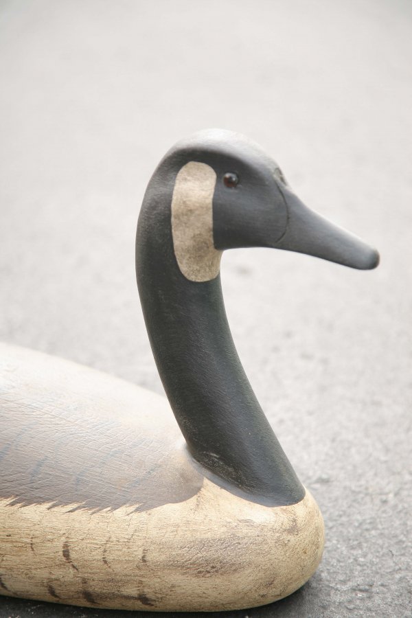 CANADA GOOSE. Twentieth century. Carved wood  - 2